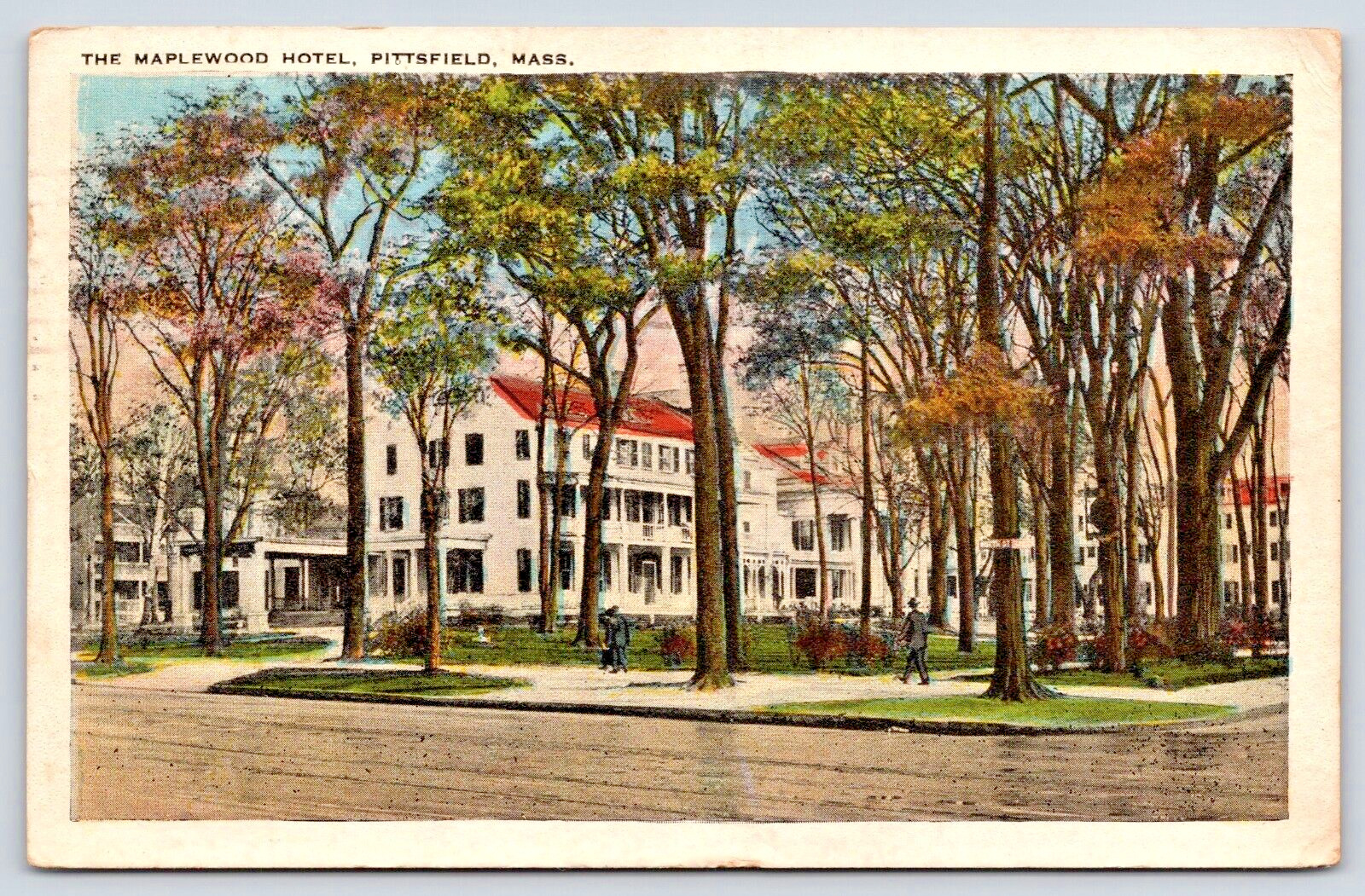 1923 Postcard Maplewood Hotel Pittsfield Mass. Tall Trees A9
