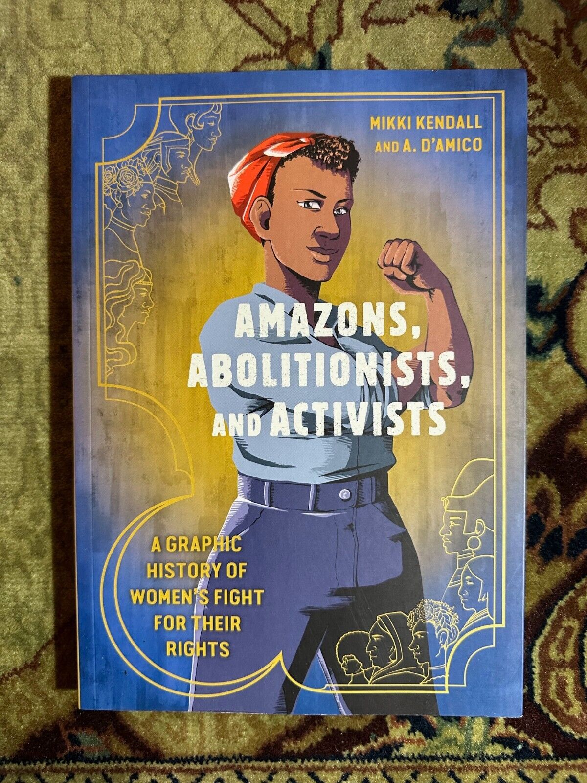 AMAZONS, ABOLITIONISTS, AND ACTIVISTS by Mikki Kendall & A. D\'Amico