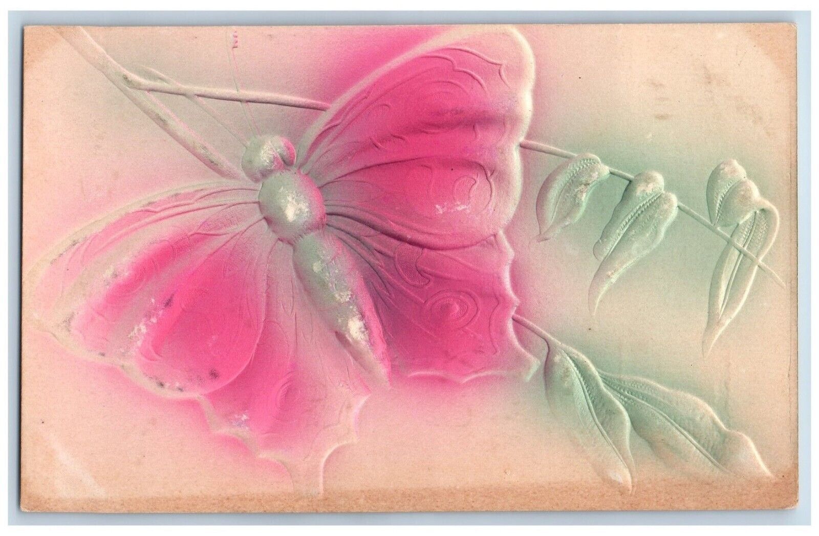 c1910\'s Postcard Big Butterfly Airbrushed Embossed Unposted Antique