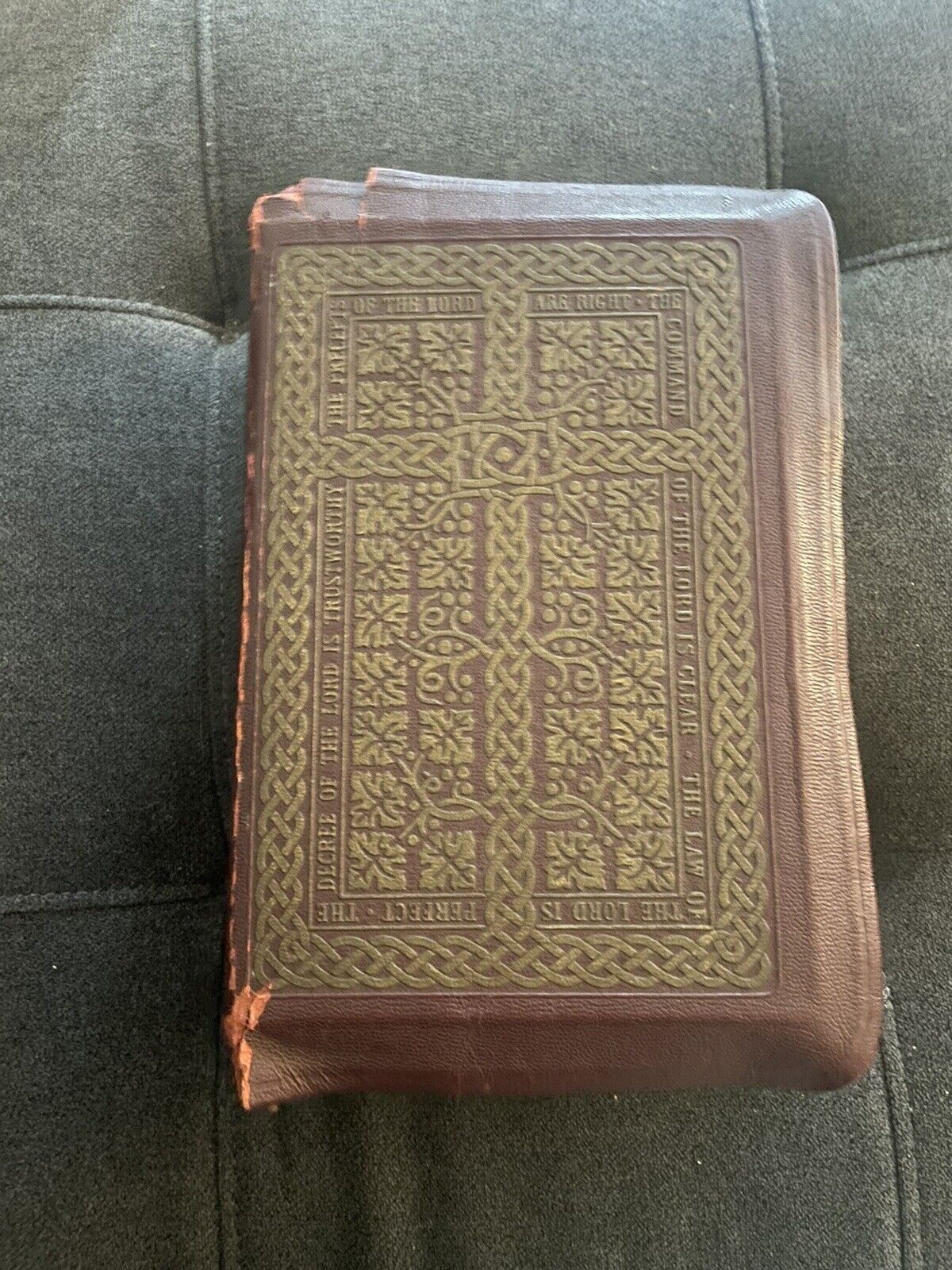 THE HOLY BIBLE  Holy Trinity Edition Catholic Copyright 1951 - Please Read
