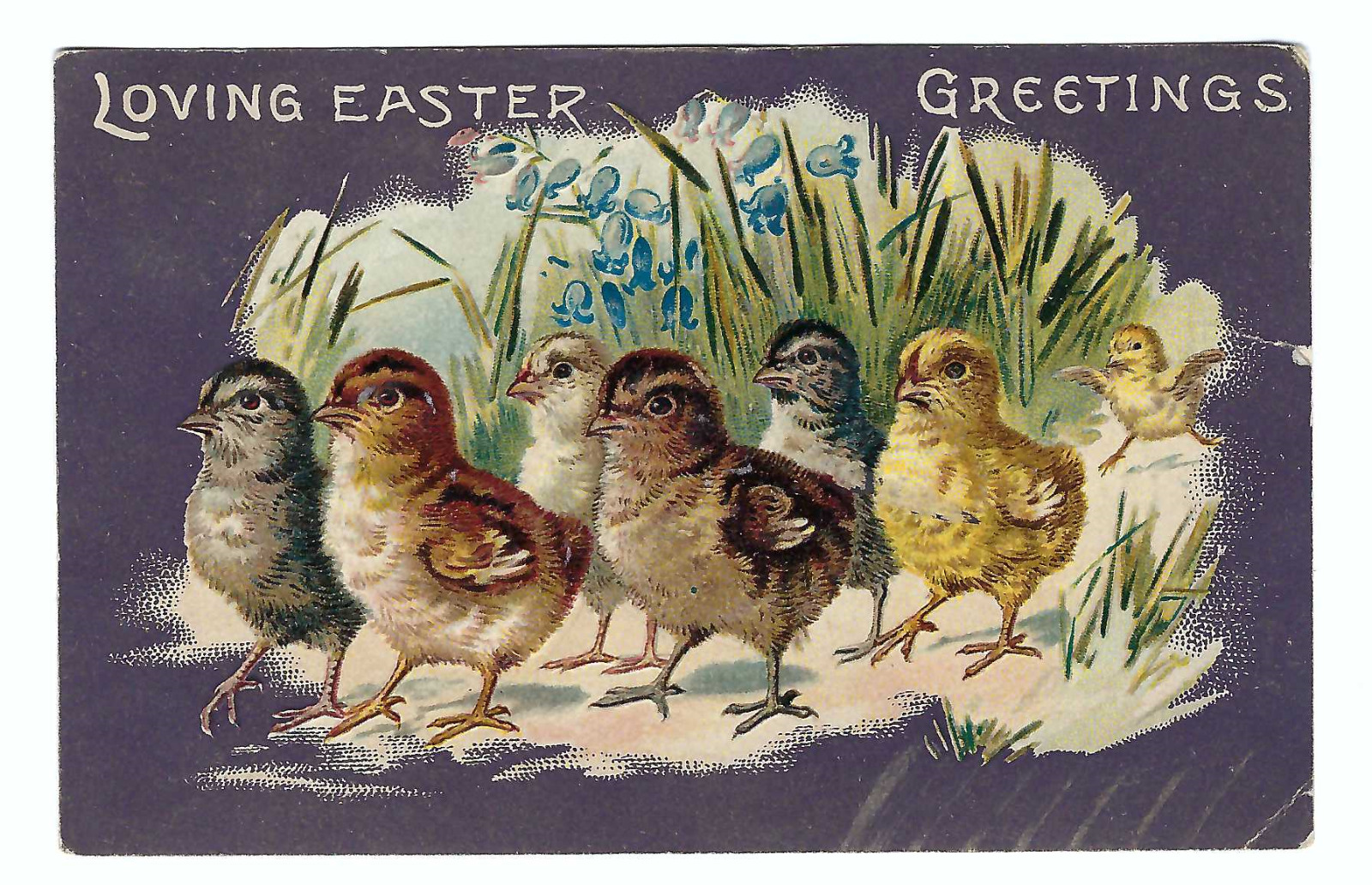 Vintage 1909 Easter Chick Greetings Old Vintage Postcard