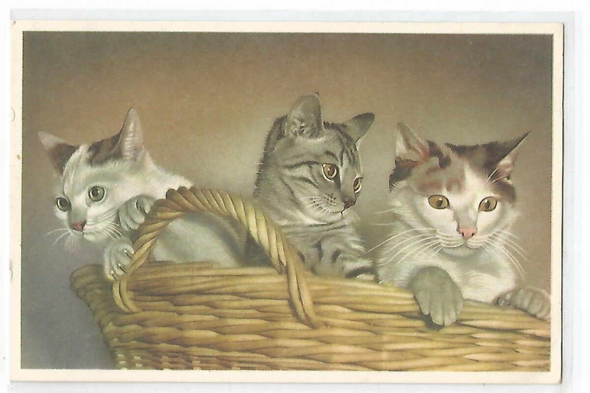 CPA ILLUSTRATION CATS, CATS