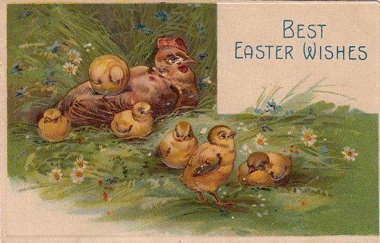 Easter Postcard Chicken and Baby Chicks Best Easter Wishes 