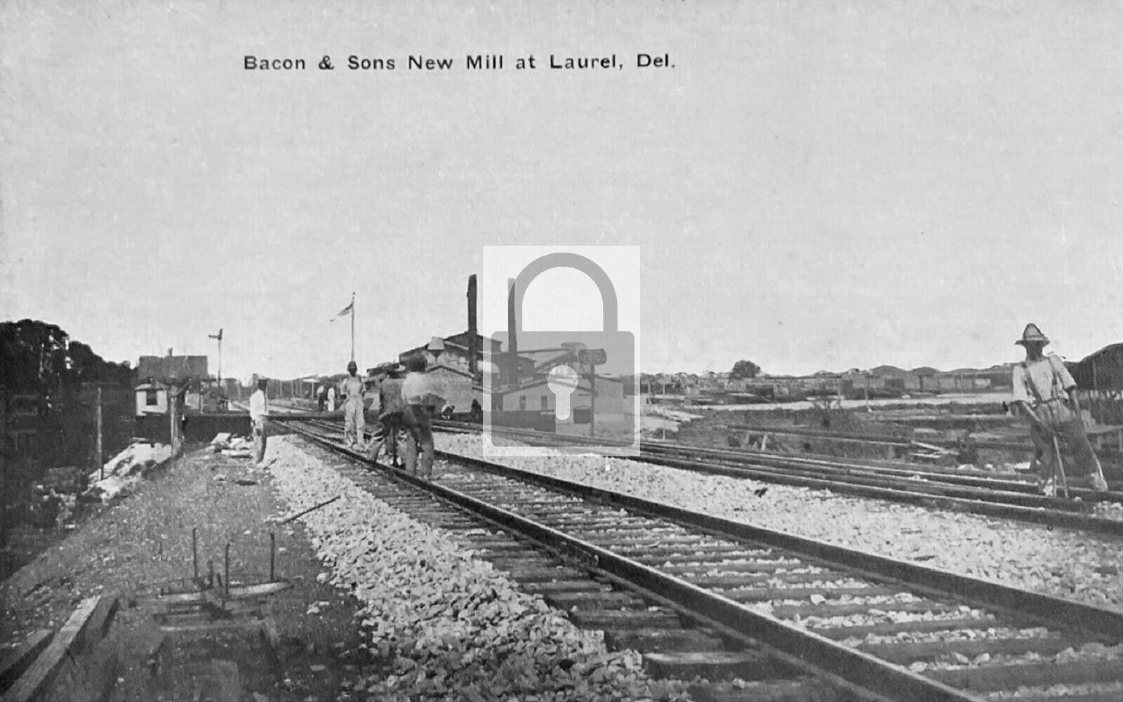Bacon & Sons New Mill Railroad Tracks Laurel Delaware DE Reprint Postcard