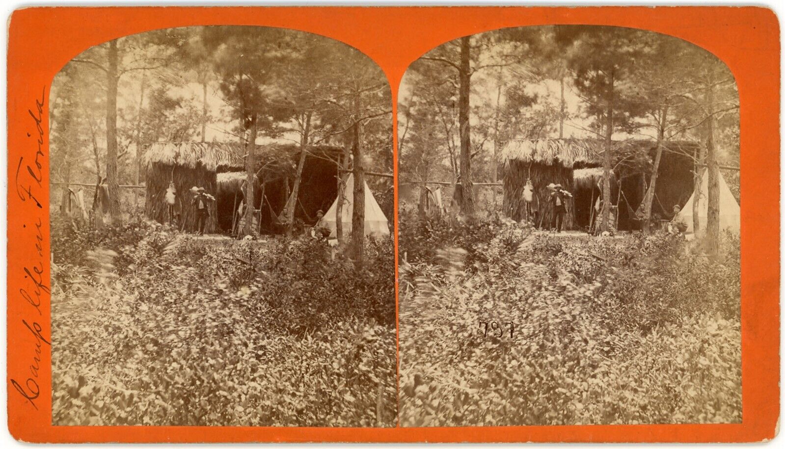 FLORIDA SV - Camping Scene in Forest - 1880s RARE
