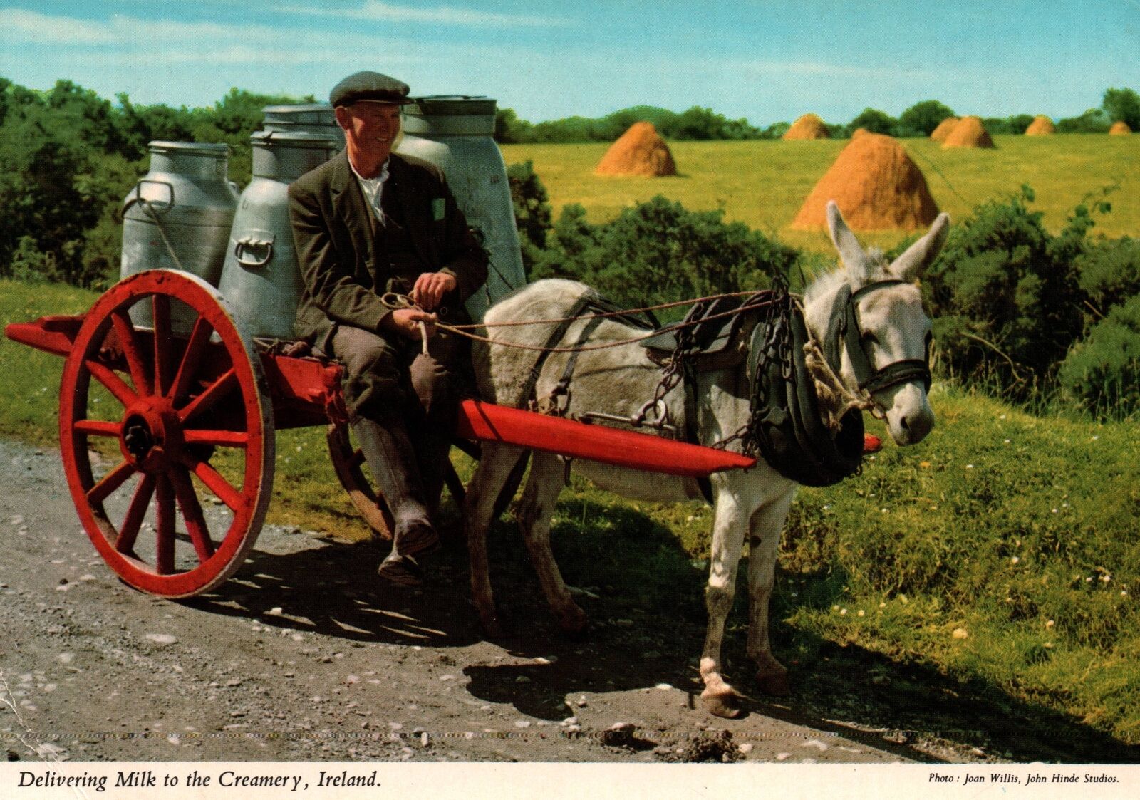 VINTAGE CONTINENTAL SIZE POSTCARD DELIVERING MILK TO THE CREAMERY IN IRELAND
