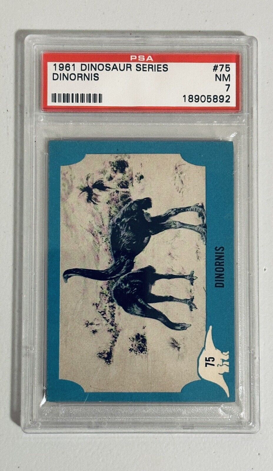 1961 Nu Card Dinosaur Series #75 Dinornis PSA 7 NM