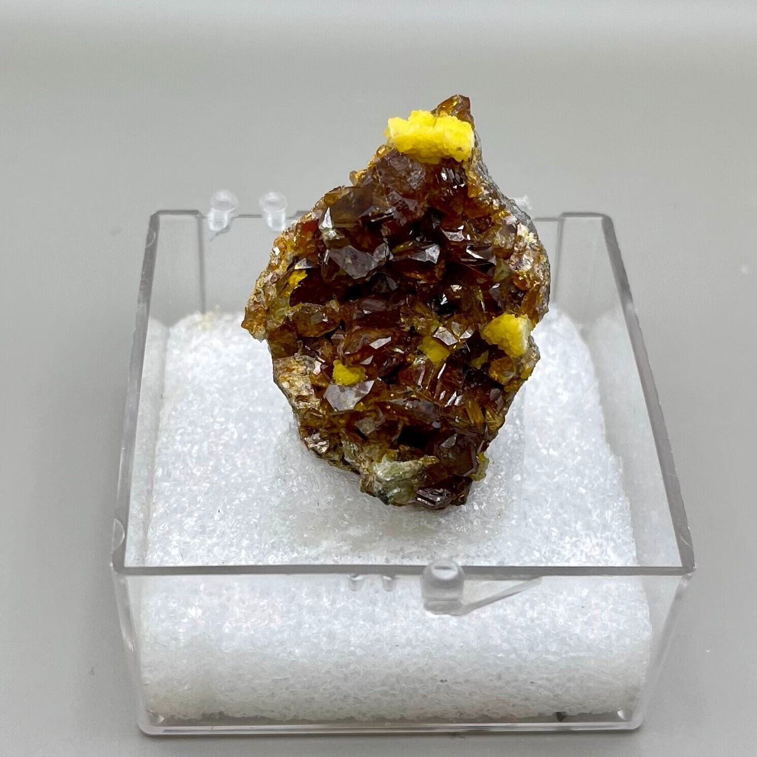Sphalerite with Pyrite in Case from Joplin, MO Brownish Orange 