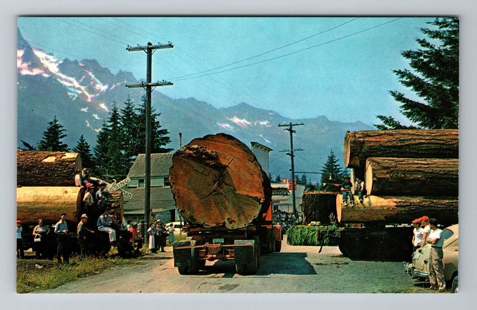 OR-Oregon Huge Logs Heading To A Nearby Mill Antique Vintage Souvenir Postcard