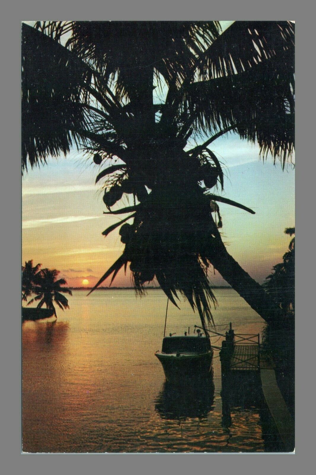 Postcard Chrome The End Of A Perfect Day Sunset Coconut Palm Trees Florida