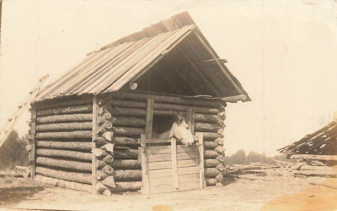 RPPC Horse Log Cabin Barn Stall Real Photo Southern Pines NC P555