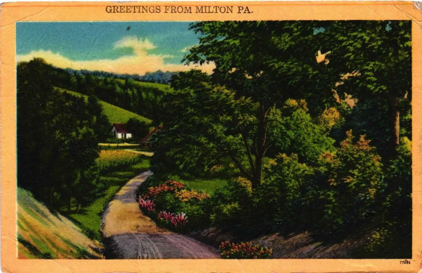 Vintage Postcard- A country road through hills, Milton, PA Early 1900s