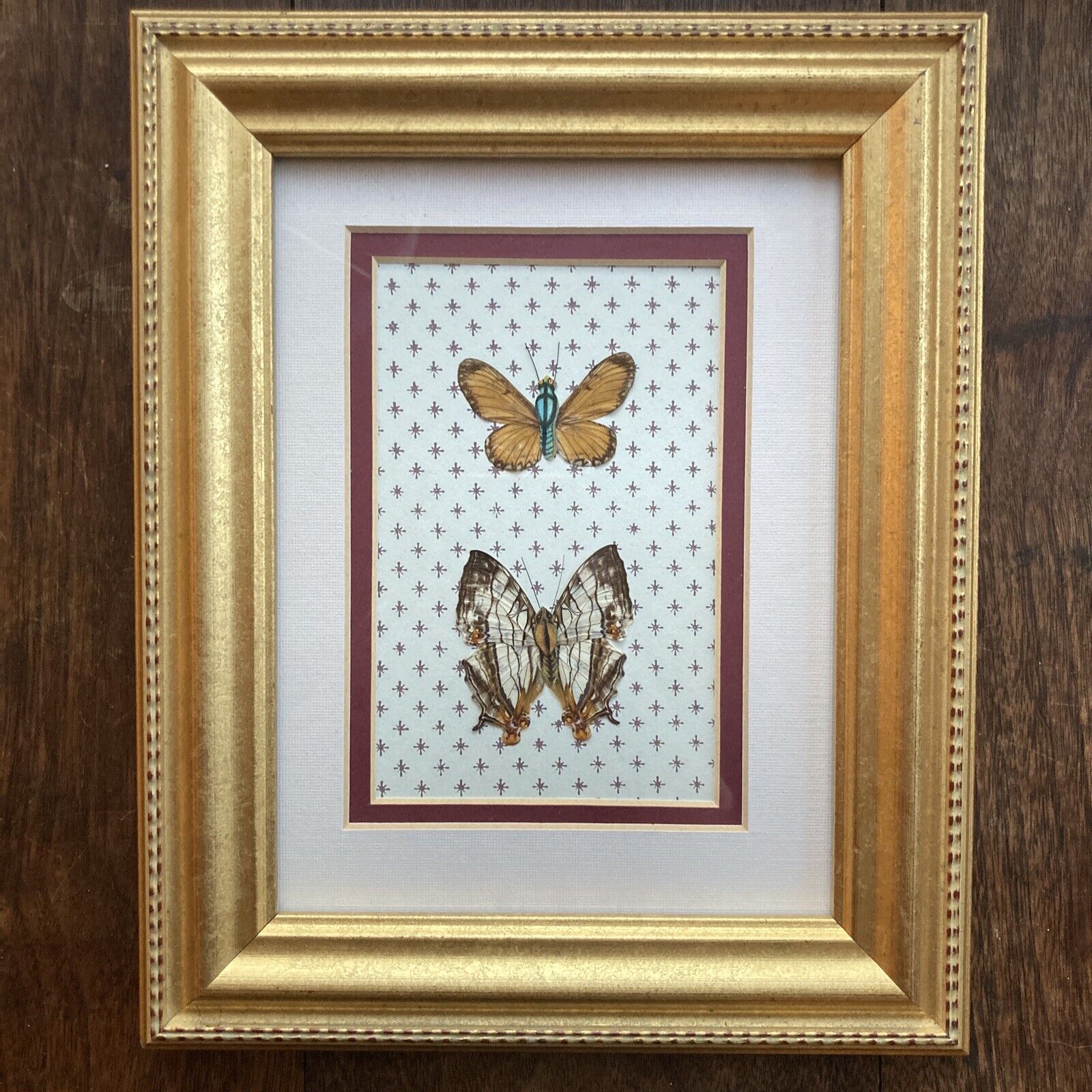 Vintage Framed Butterfly, Specimen, Art, Gold Frame