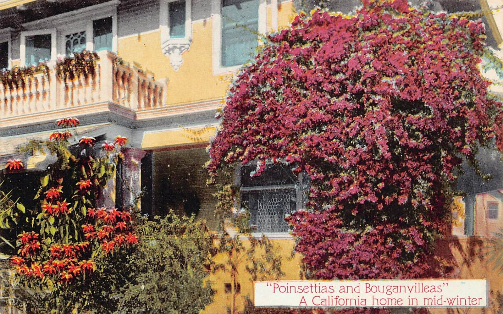 Los Angeles California Pasadena Hills Home Cottage Bungalow Vtg Postcard U7