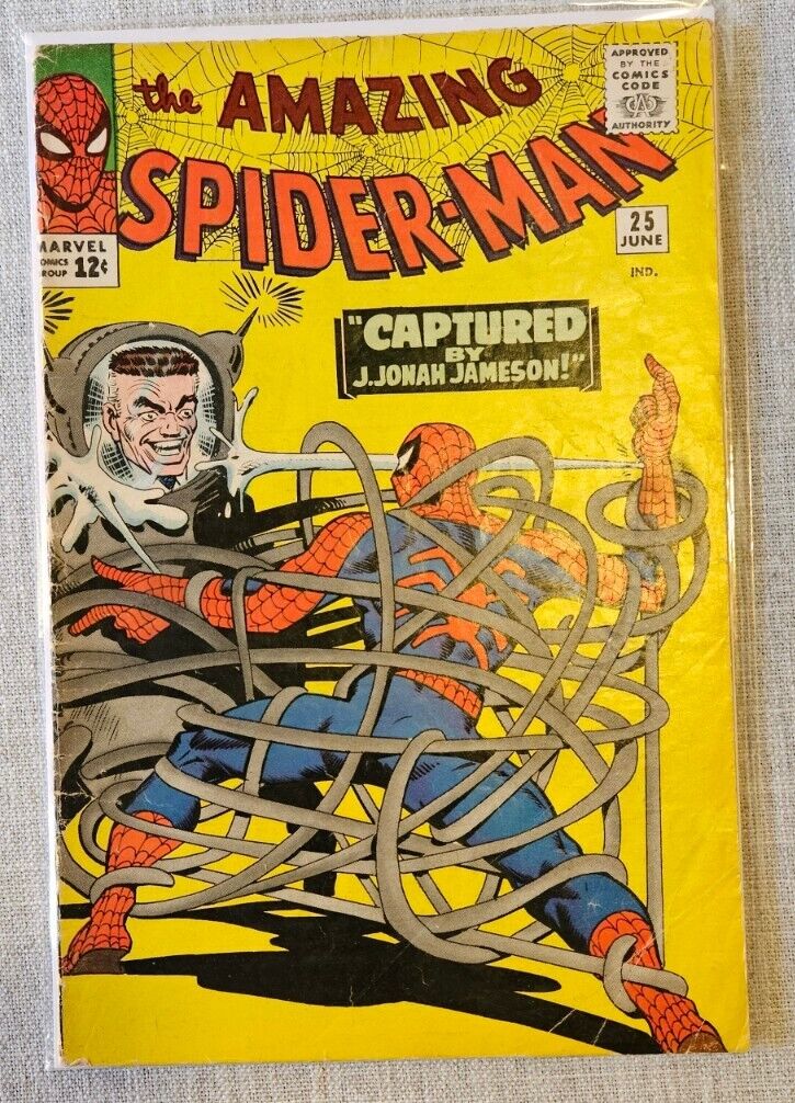 Amazing Spider-Man #25 1965 1st Cameo Mary Jane Silver Age Nice Copy