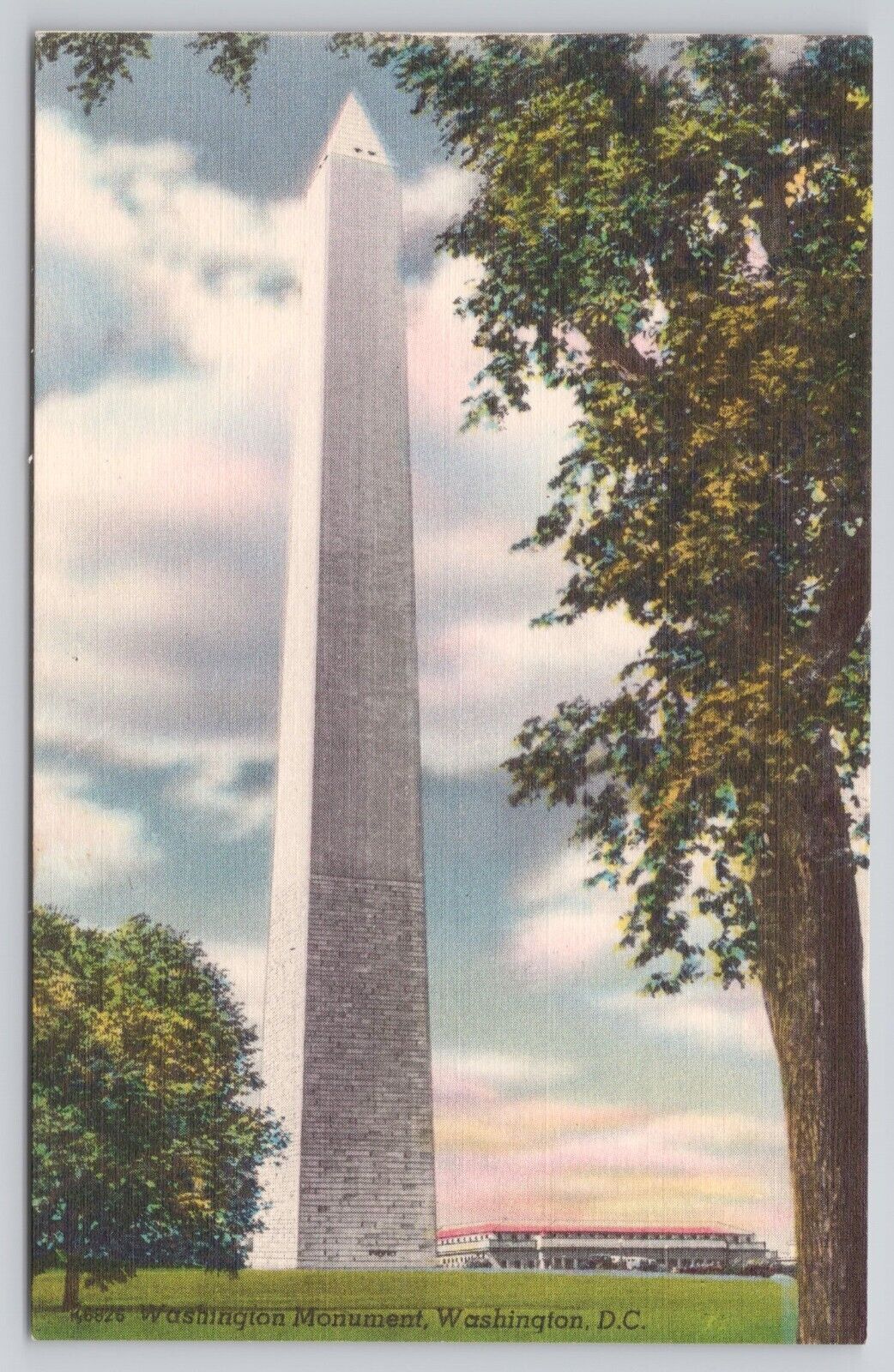 Washington Monument Washington DC Postcard