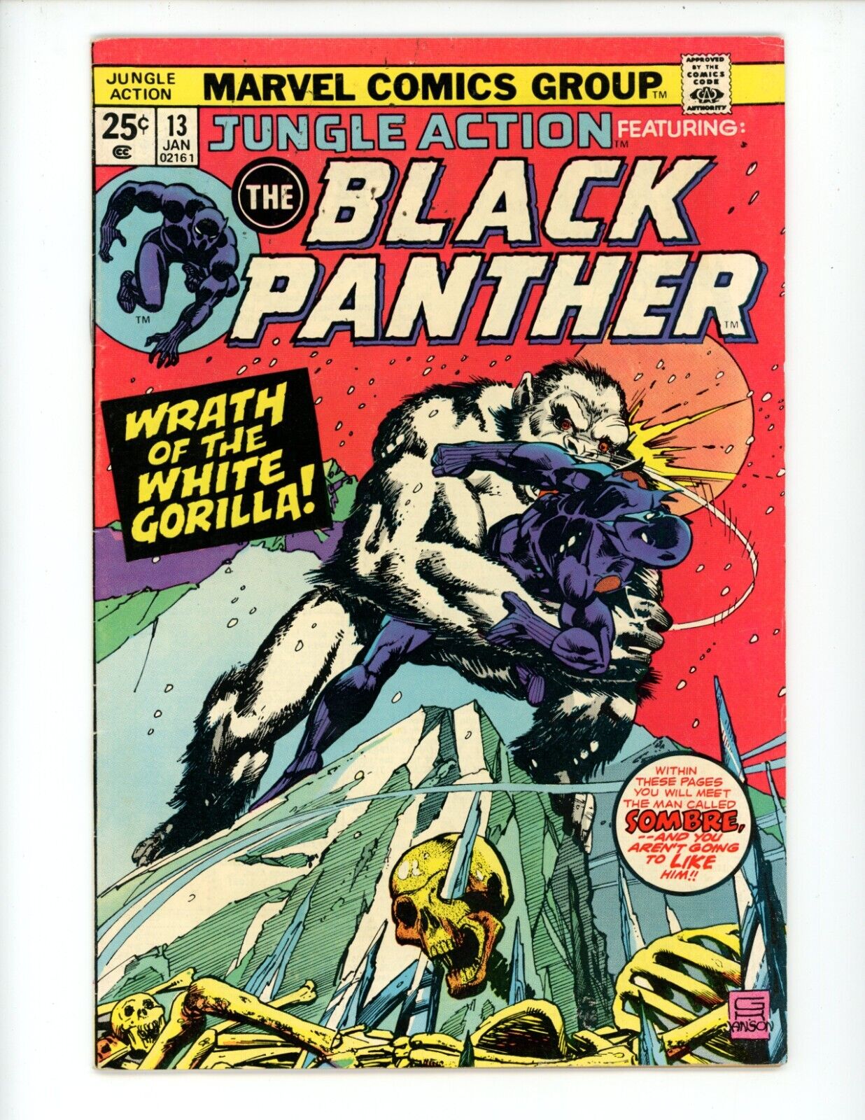 Jungle Action #13 Comic Book 1975 FN/VF Black Panther 1st App Chandra
