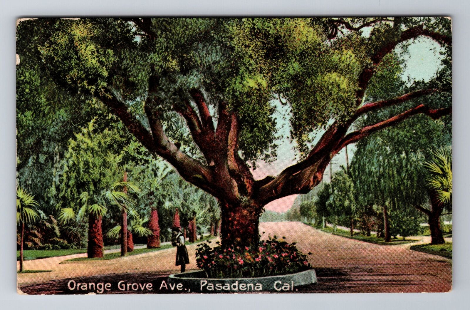 Pasadena CA-California, Orange Grove Avenue, Antique Vintage Souvenir Postcard