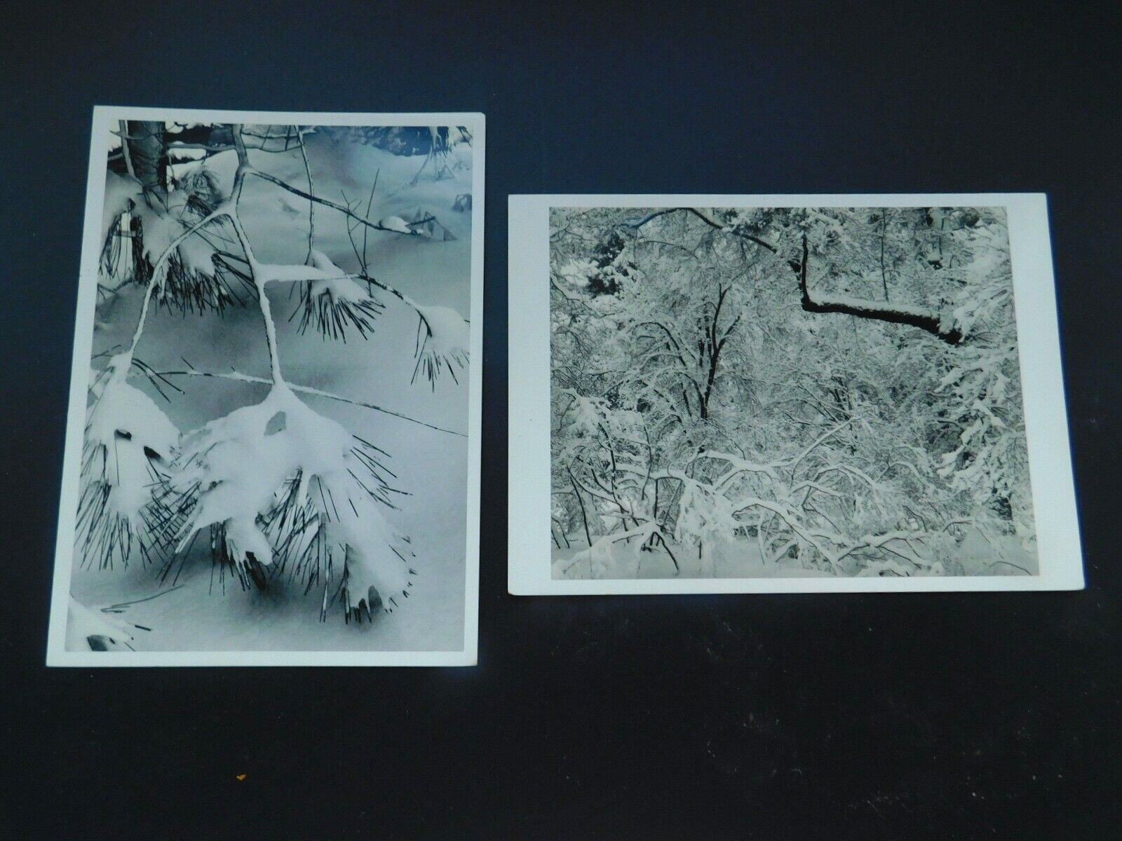 Lot of 2 Ansel Adams B&W Photograhs of Snow UNUSED Christmas Cards C297