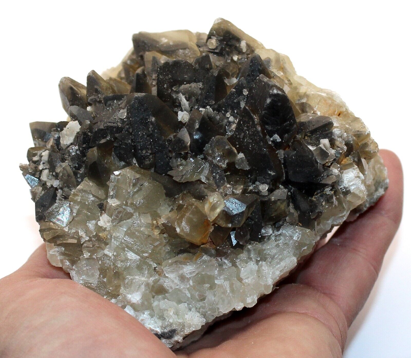 Large Dog Tooth Calcite Crystal cluster healing crystals minerals Ref:WS22.DTL