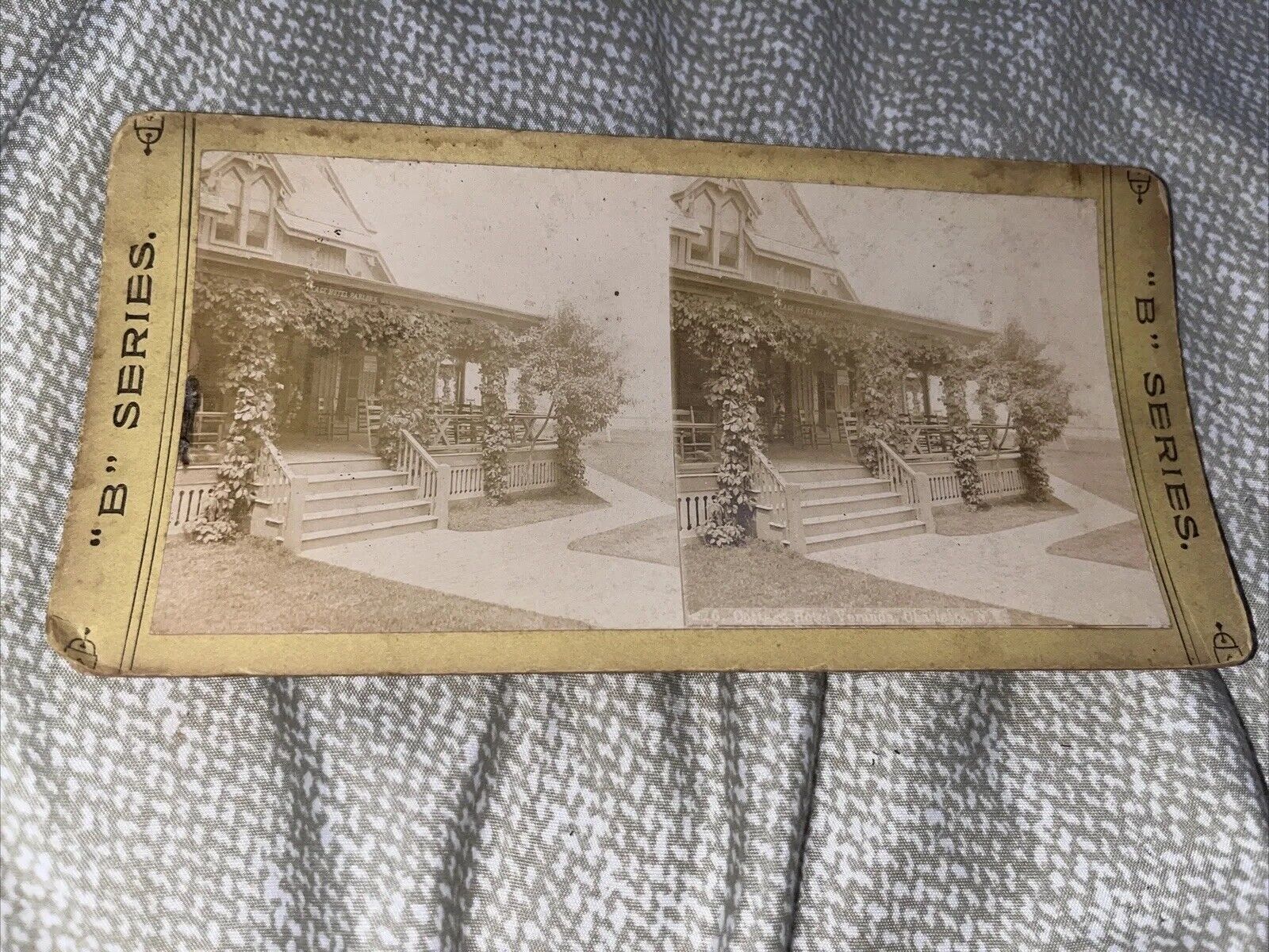 Antique Stereoview Card Photo: Cottage Hotel Veranda - Charlotte New York NY