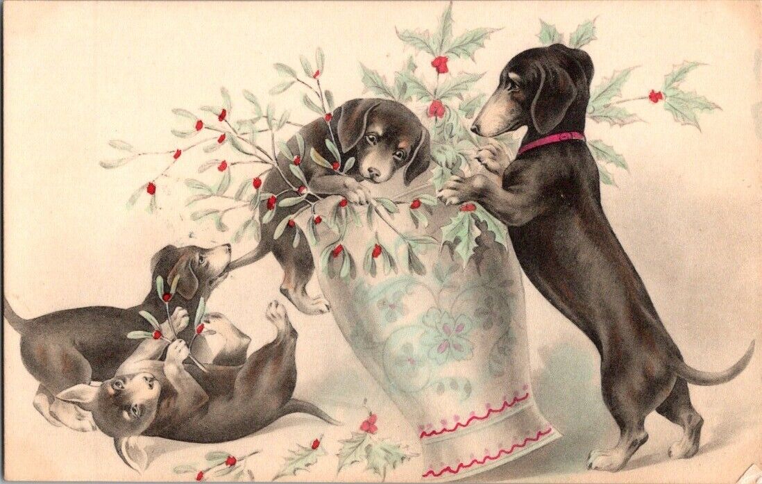 Vtg Dachshund Christmas Postcard French Holiday Dog & Pupplies Playing Unposted