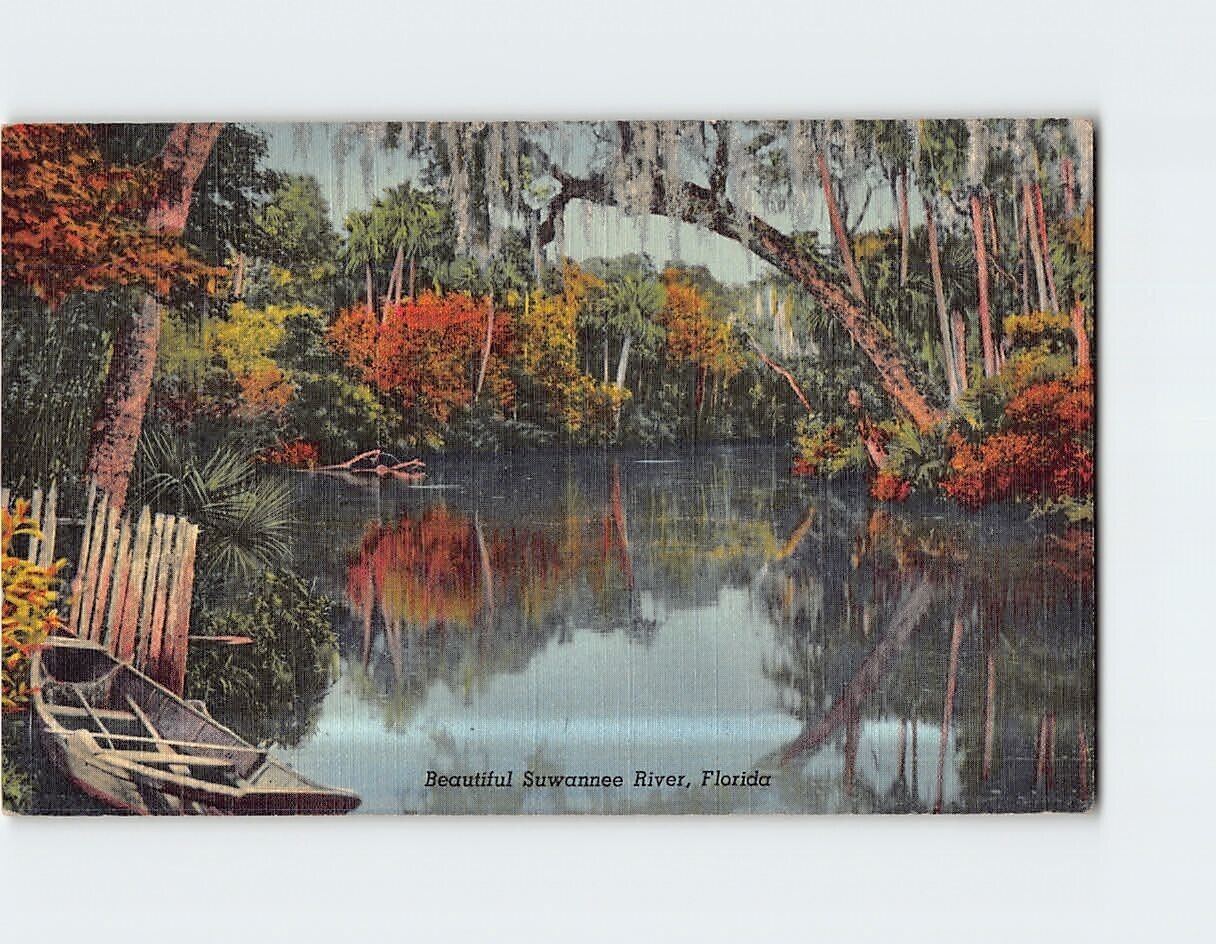 Postcard Beautiful Suwannee River Florida USA