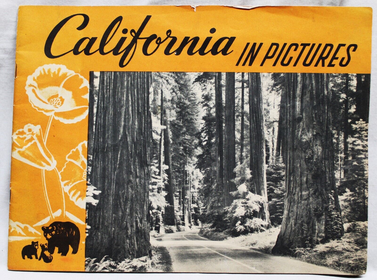 CALIFORNIA IN PICTURES 205 PHOTO VIEWS SOUVENIR ALBUM BROCHURE 1930s VINTAGE