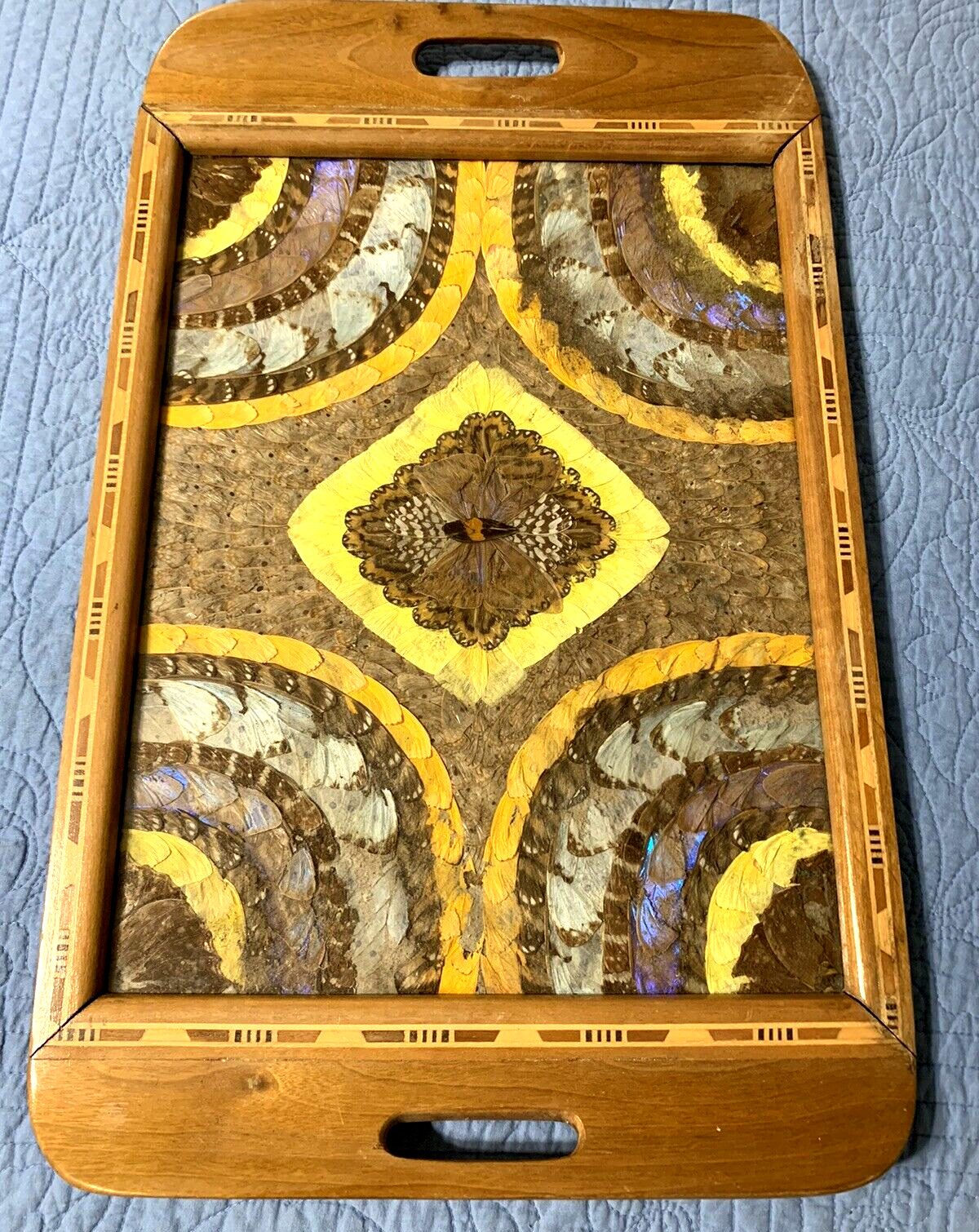 Vtg Brazilian Butterfly Wing Inlaid Wooden Serving Tray 20X13\