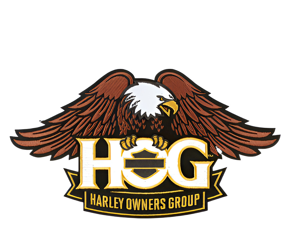 Large Eagle Gold Patch Harley Davidson Owners Group HOG