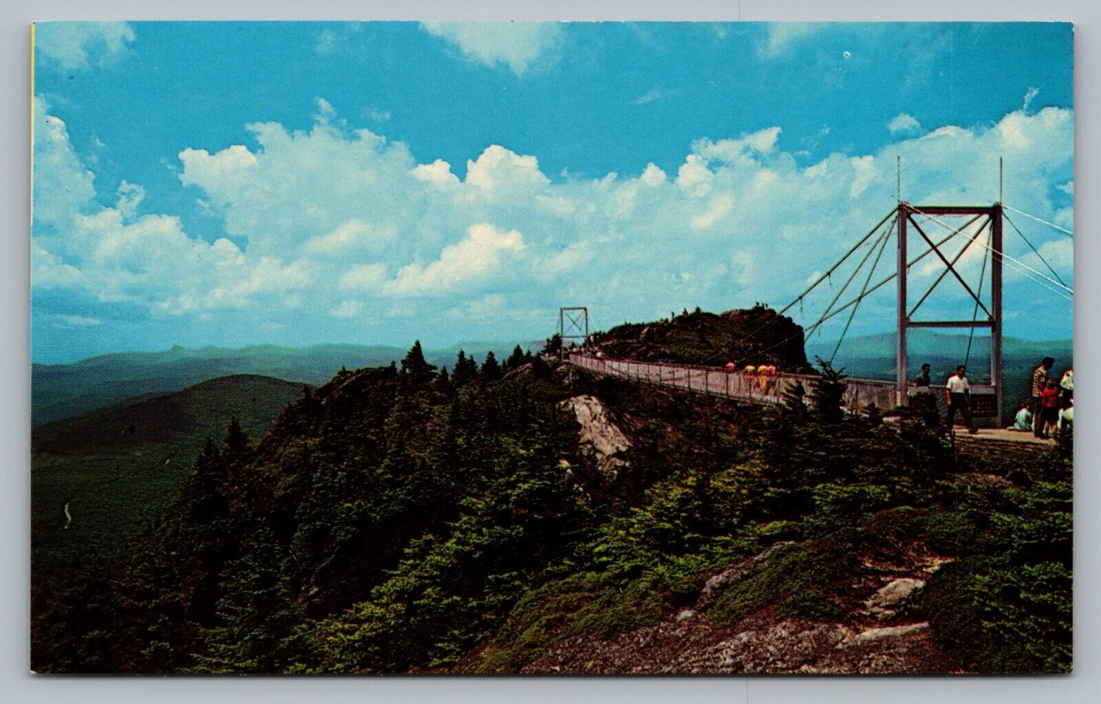 Grandfather Mountain NC Mile High Swinging Bridge North Carolina Postcard Vtg F4