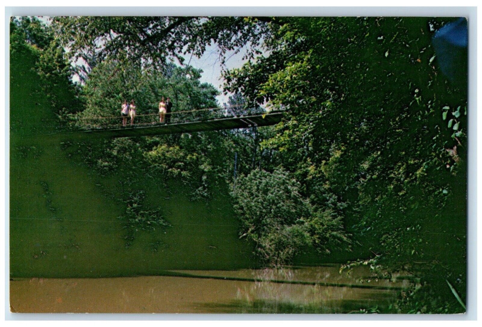 Tishomingo Mississippi MS Postcard Swinging Bridge Tishomingo State Park c1960