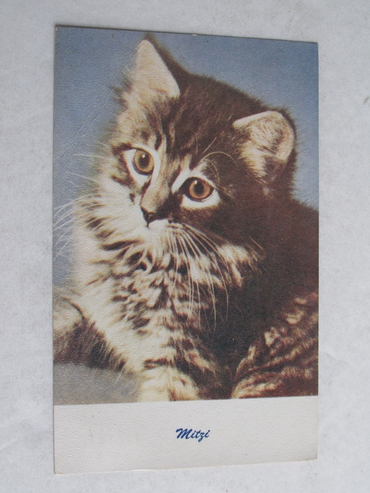 G72 Postcard Cute Cat Kitten Mitzi Tiger kitty 1947 