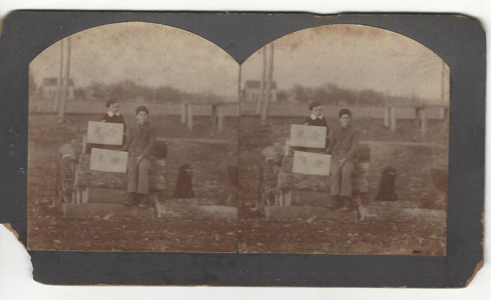 Boys on Log Pile (Holding Campaign or Funeral Posters?) c 1880\'s Stereoview