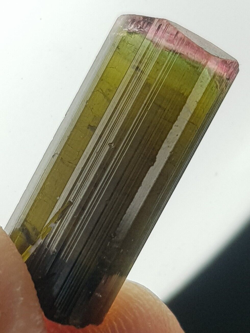 12 ct Natural Terminated Bi Color TOURMALINE Crystal From Afghanistan 