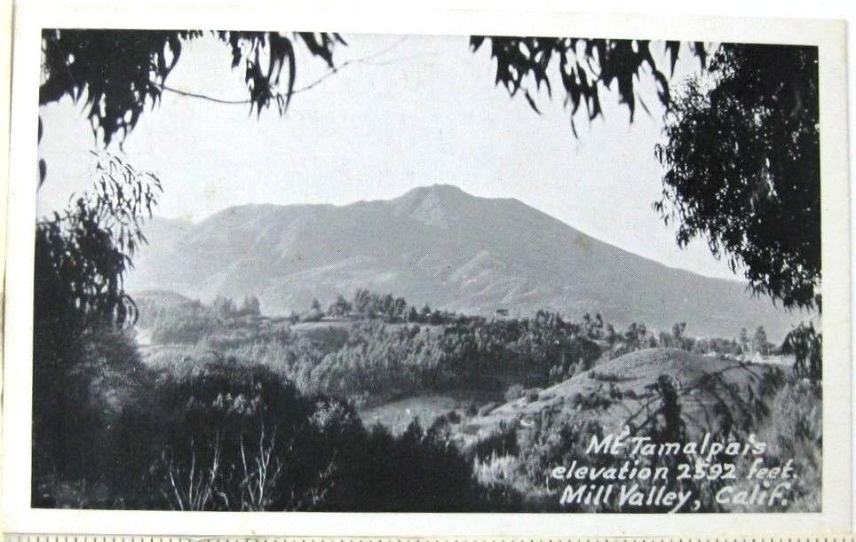 1930s-40s Mill Valley CA Mount Tamalpais Postcard Marin County Valley Vintage