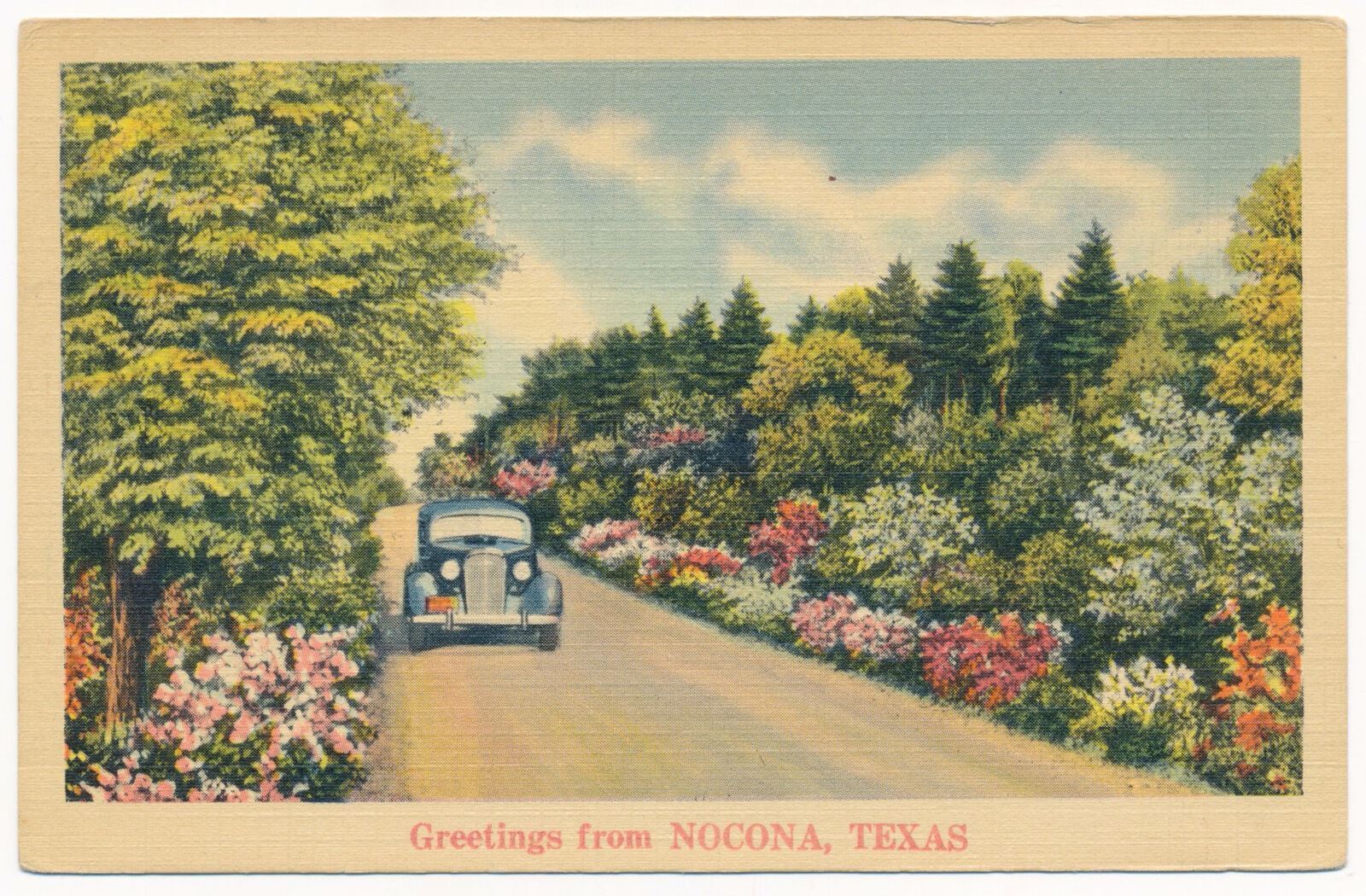 Vintage Postcard Greetings from Nacona, Texas