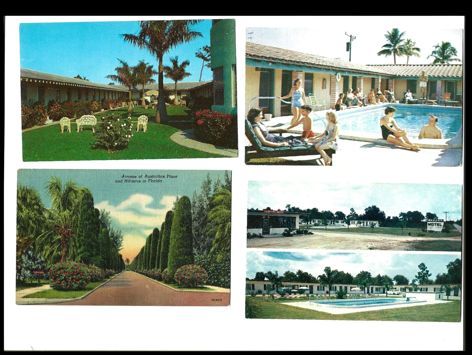 Vintage Postcard Lot Of 4 Unused- Old Florida State Post Cards 
