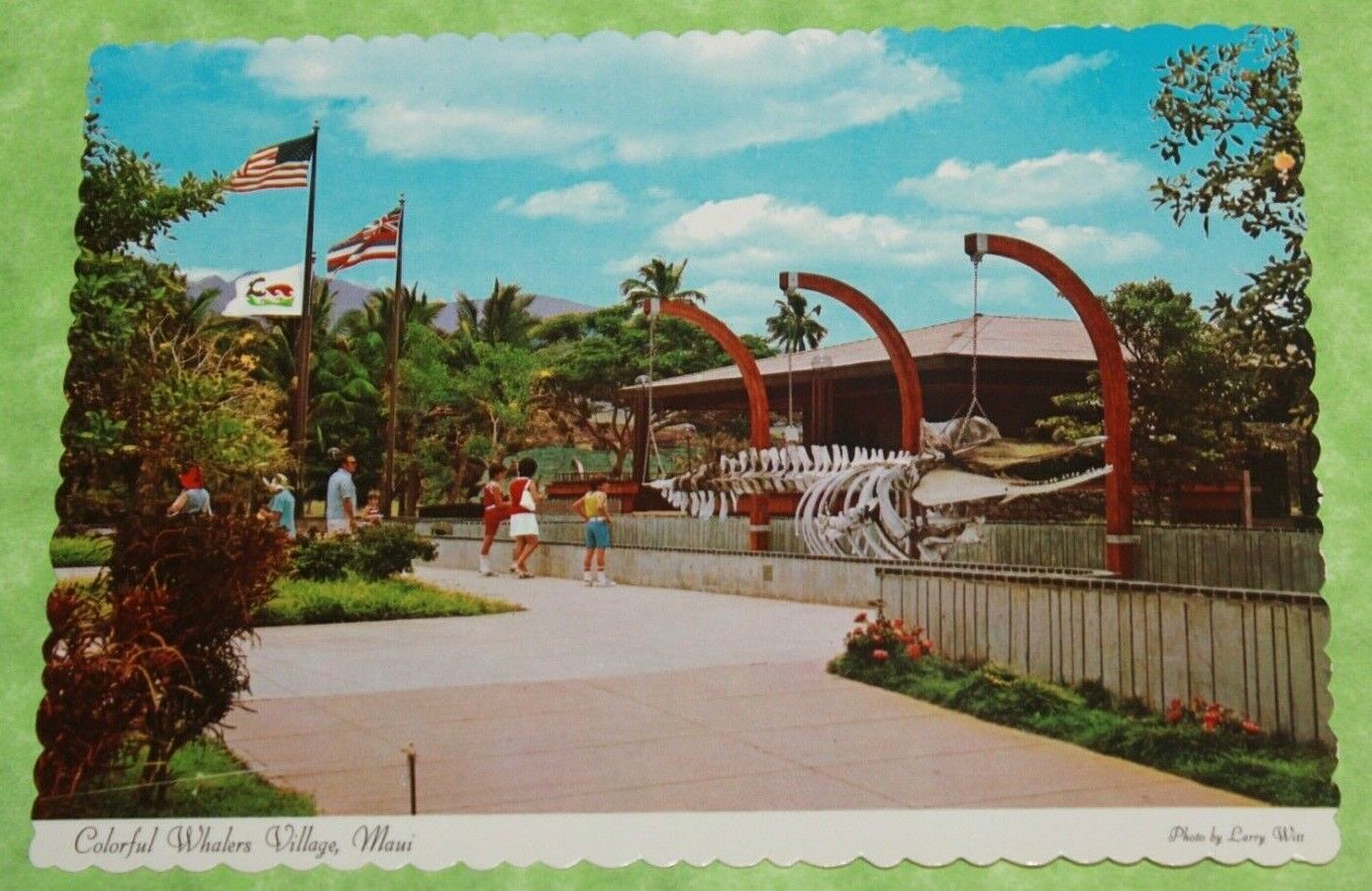 Vintage Unused Hawaii Postcard Colorful Whalers Village