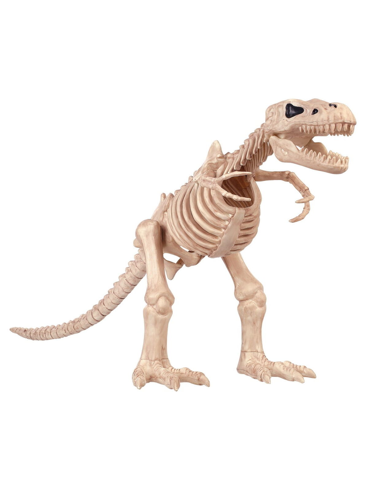 16in. T-Rex Skeleton Halloween Decoration For decoration and gift-giving