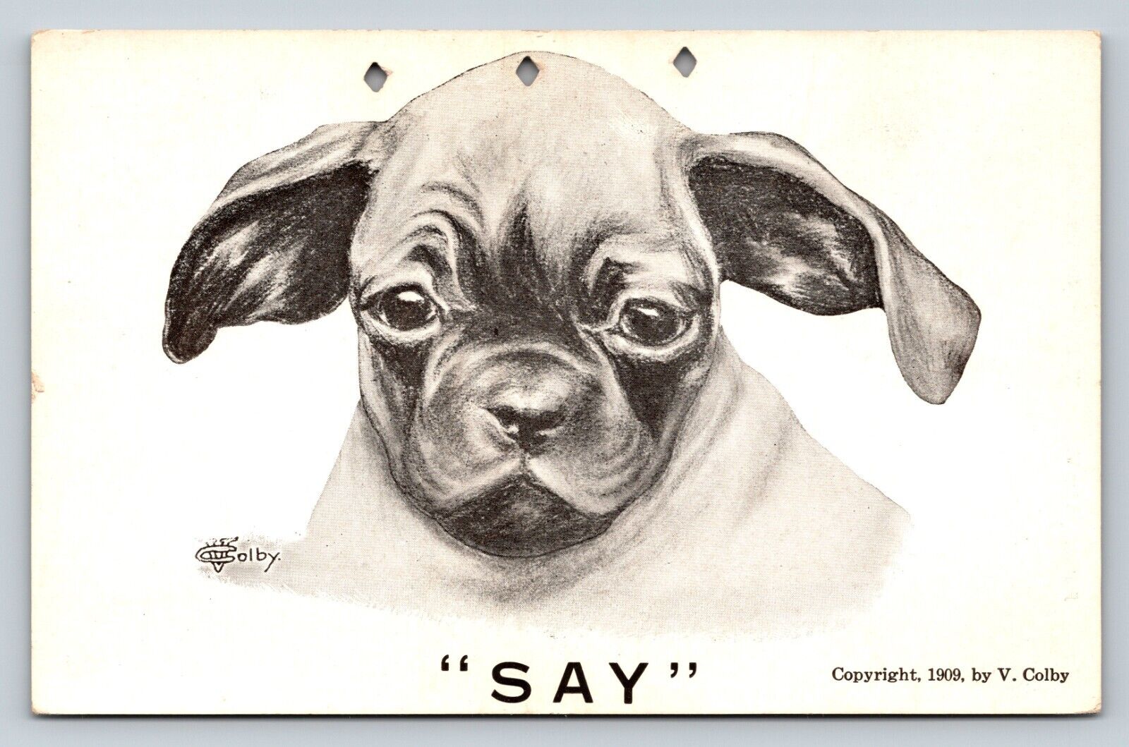 1909 Cute Dog Drawing Print By Vincent V. Colby ANTIQUE Postcard