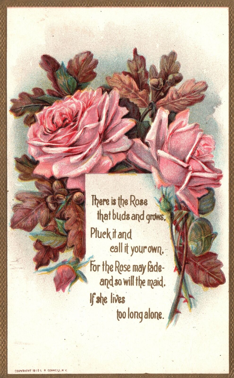 Vintage Postcard 1911 There Is Rose That Buds & Grows Pluck It Greetings Flowers