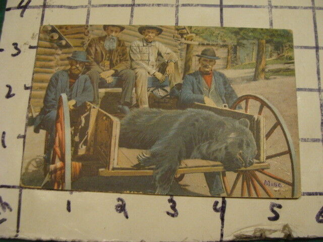 vintage original Post Card -- wagon 4 men & bear -- MAINE -- sent 1911