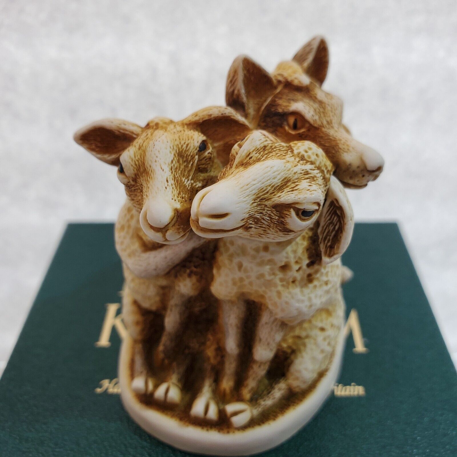 Harmony Kingdom Mutton Chop Wolf in Sheep Skin UK Made 1997 Trinket Box Figurine