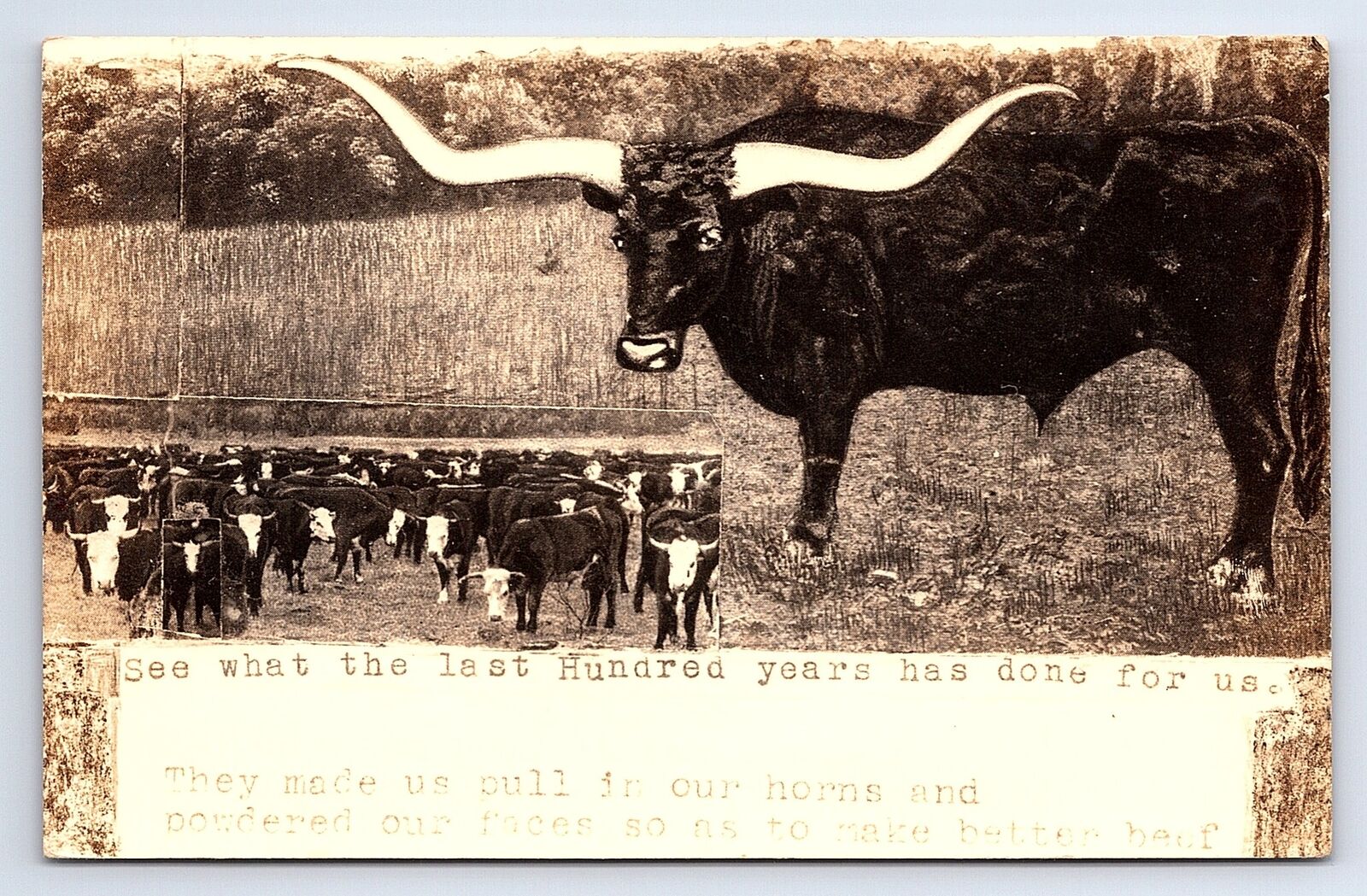 Postcard RPPC San Antonio Texas Centennial 1836-1936 Longhorn Cow Humor Card