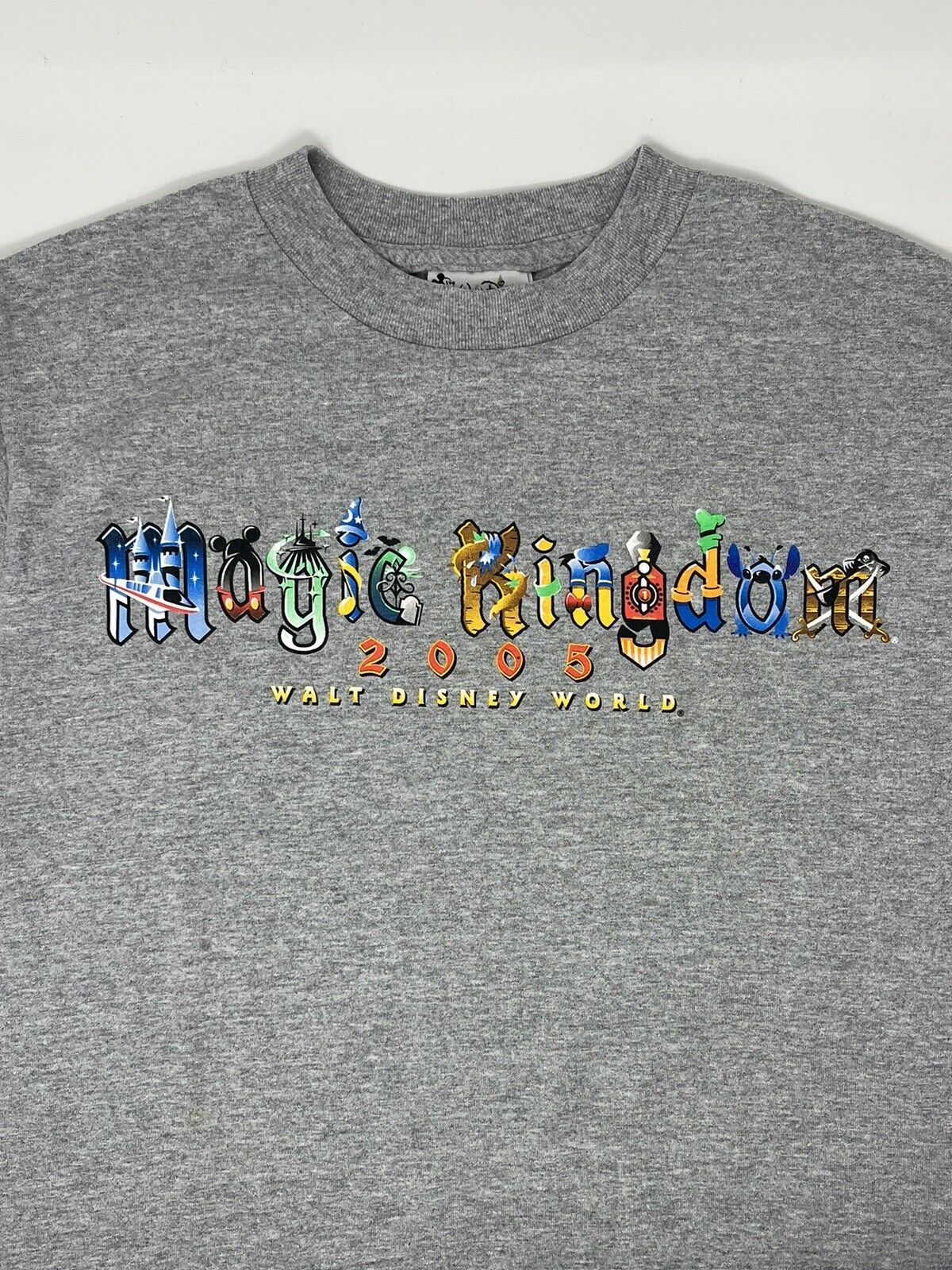 Vintage 2005 Disney World Animal Kingdom Park T Shirt (S)