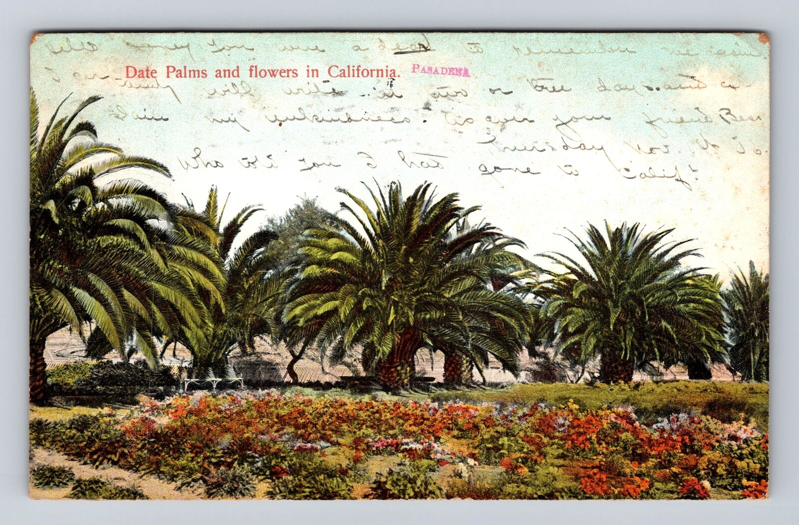 Pasadena CA-California, Date Palms and Flowers, Antique Vintage Postcard