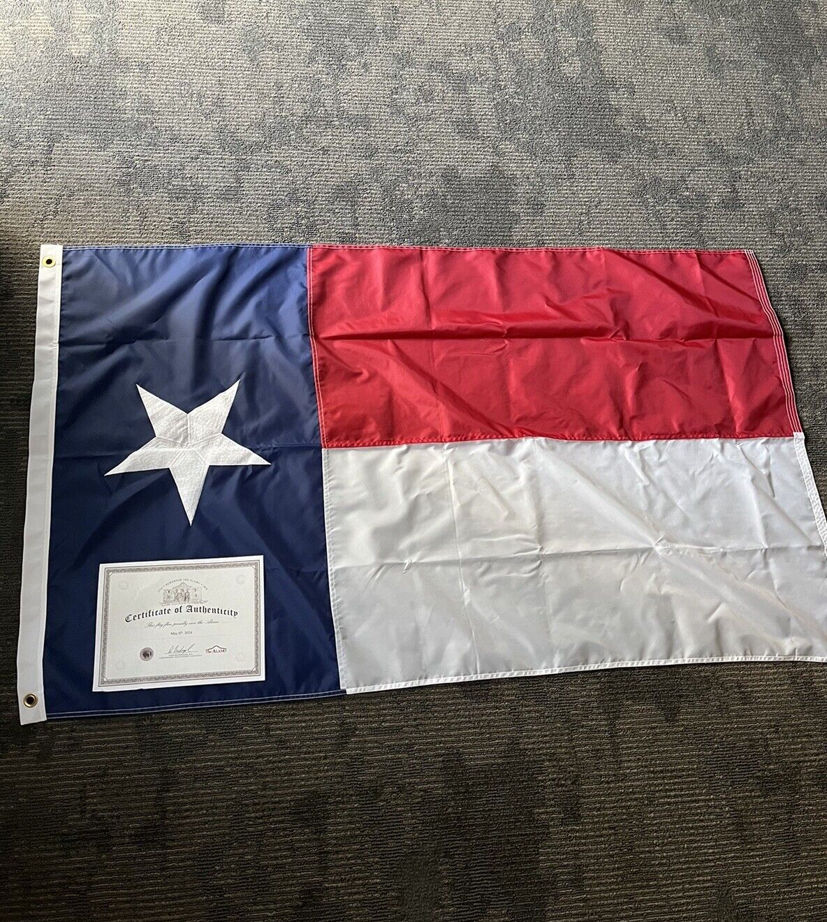 Texas Flag Flown Over The Alamo