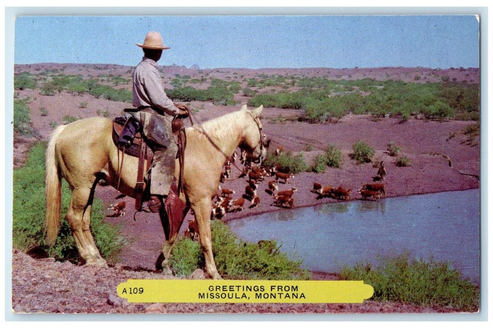 1960 Greetings From Cowboy Horse Lake Rembrant Missoula Montana Vintage Postcard