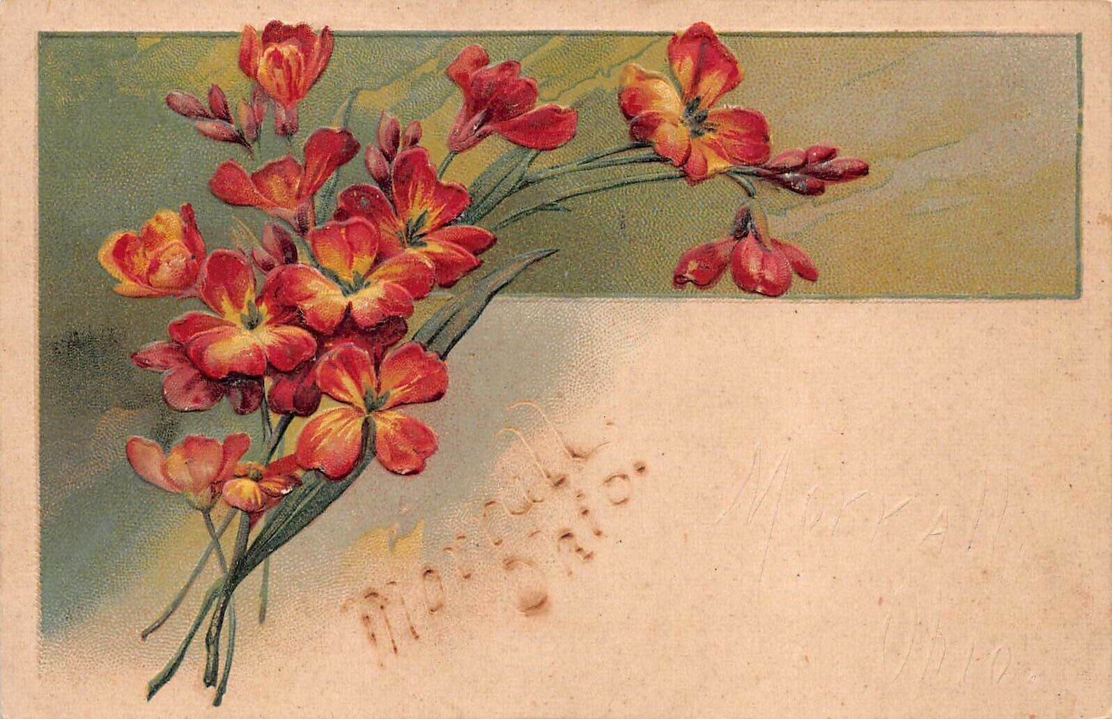 Antique Postcard Flowers Embossed Stamped 1907